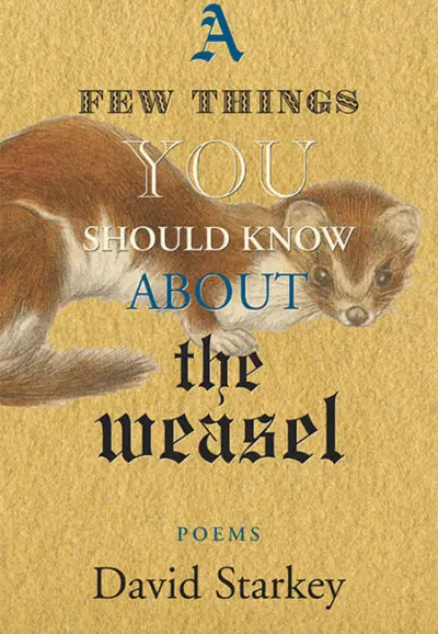 A Few Things You Should Know About the Weasel